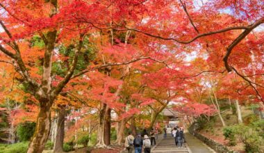 Bishamondo and Daigo-ji, east of Kyoto