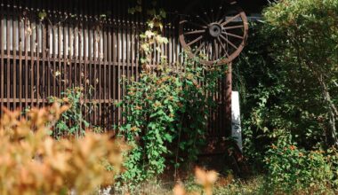 The road from Nagiso to Magome-juku