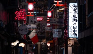 An alley somewhere around Kabukicho