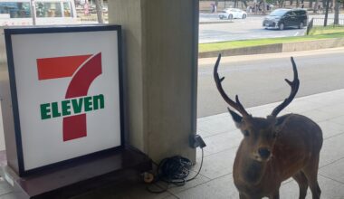 What do I say to him?