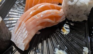 What is this exactly?