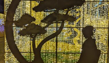 Osaka Christmas lights, taken in January 25