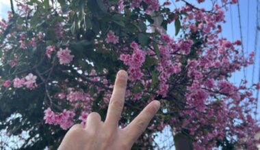 Okinawa 🗾🇯🇵