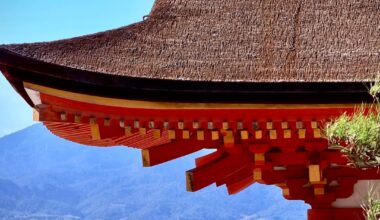 Some of my favourite photos I’ve taken travelling across Japan. This place is something else..