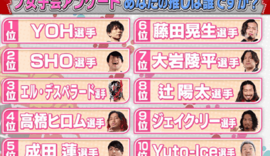 Female fan's rankings on their favourite wrestlers from this past Shinnichi-Champion