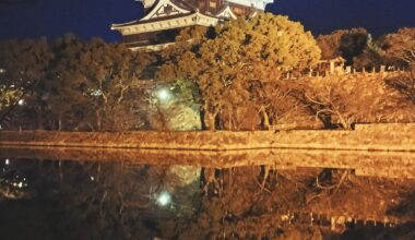 Hiroshima Castle at Night