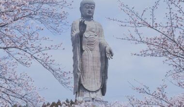 Ushiku Daibutsu in spring 🌸