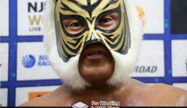 Tiger masks final bosj