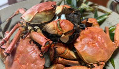 River Tsugani crab and carp in rural Japan