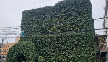 This hidden restaurant in Japan is completely covered in ivy