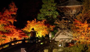 Special autumn illuminations at Shoren-in and Chion-in, Kyoto
