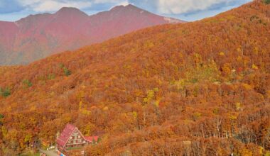 Zao Mountains, Yamagata (Part II)