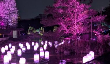 teamLab Botanical Garden Osaka