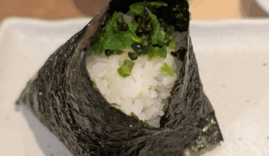 Aojiso (青じそ, 青じその実) Recipe