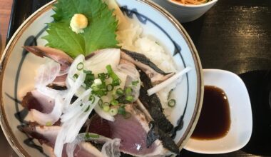 Katsuo Don (Seared Bonito Rice Bowl) I had for lunch in Japan