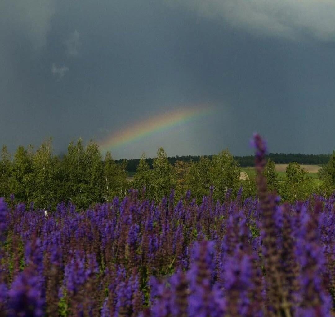 September in Hokkaido