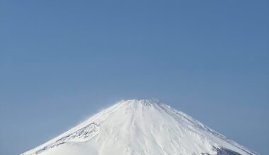 Fujisan seen from Mt. Kintoki (Hakone)