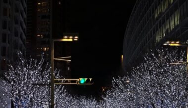 Solo Trip January 2026