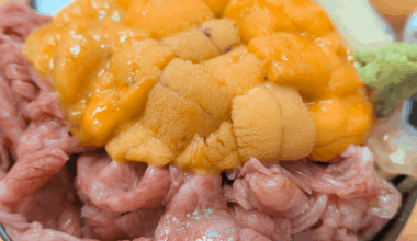 Uni Heaven 👼 Hokkaido has the best seafood in the world!