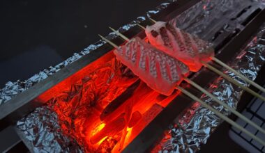 Grilling up some Red Snapper over binchotan