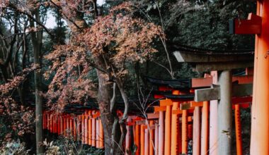 My Fushimi Inari favorite pics [OC] December 2025