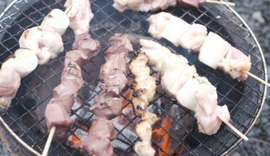 [Homemade] Grilling Yakitori on a traditional shichirin in the garden of my 100-year-old farmhouse. The fresh air and charcoal smoke are pure therapy.