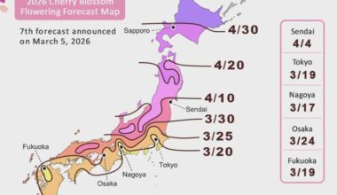 Slightly early sakura season predicted in Kyoto, beginning March 23 and peaking April 1