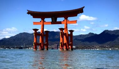 Worth the trip for this alone 🌸