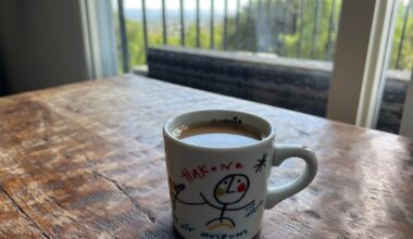 My coffee mug from Hakone Open Air Museum and pics of the museum