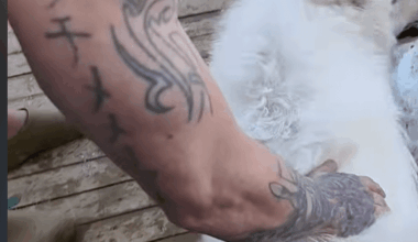 ラチメメ?  Anyone know what this might be? Link to image included.