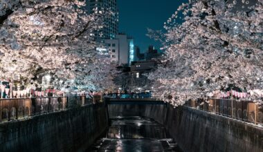 Events in Tokyo this week + meet friends