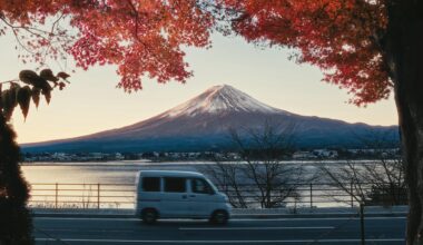 Fall Foliage at Fujisan