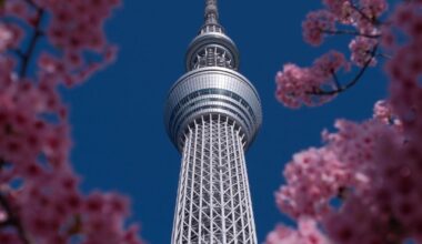 Kawazu Sakura (Early blooming cherry blossom) near Sky Tree