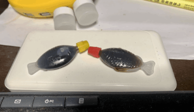 🐟the iconic fish-shaped soy sauce containers you get with Japanese lunch boxes — the ones with red caps for soy sauce and yellow caps for Worcestershire-style sauce