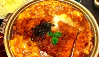 This Katsudon was an absolute revelation, Japan really does food on another level