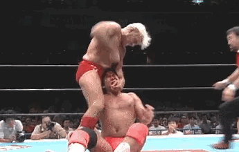 Ric Flair droppin’ them B’s on Keiji Mutoh!