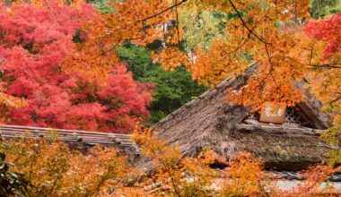 Hogon-in, Arashiyama