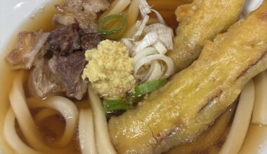 Home made burdock root TEMPULA UDON