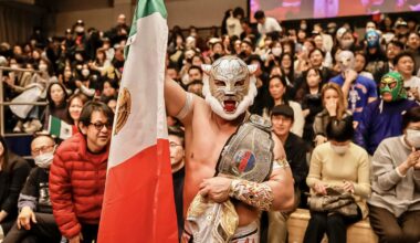 FantásticaMania: Tiger Místico