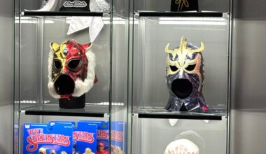 Mask display