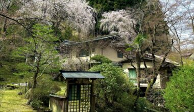 A dream house in Mount Yoshino