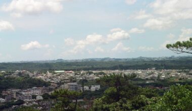 I miss Okinawa, that is all.