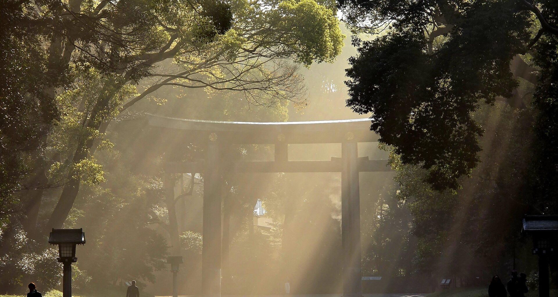 My favourite shot from Japan - Meiji Jingu
