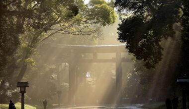 My favourite shot from Japan - Meiji Jingu