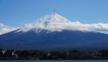 Flying crane (Sony A7CR, 85mm Sigma DG DN @ f10, 1/320s)