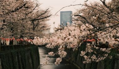 Tokyo- a couple of weeks back