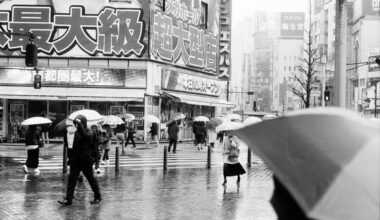 Shinjuku Rain