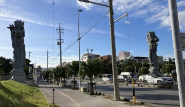 Pair of dragons watching you