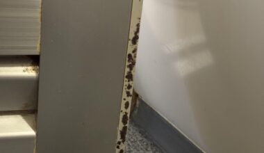 moldy godzilla hotel