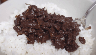Beef shigureni + nanatsuboshi rice